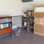 Thumbnail of related posts 138